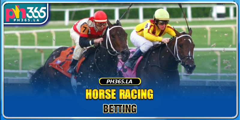 Horse racing betting